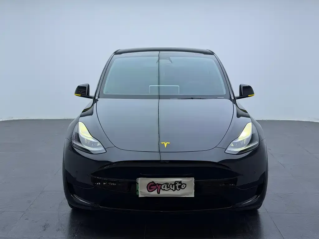 Tesla Model Y 2023 из CN, фото 4