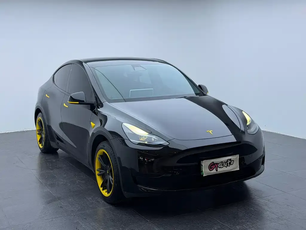 Tesla Model Y 2023 из CN, фото 2