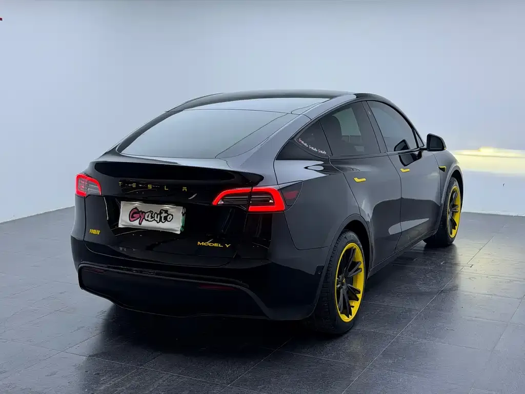 Tesla Model Y 2023 из CN, фото 6