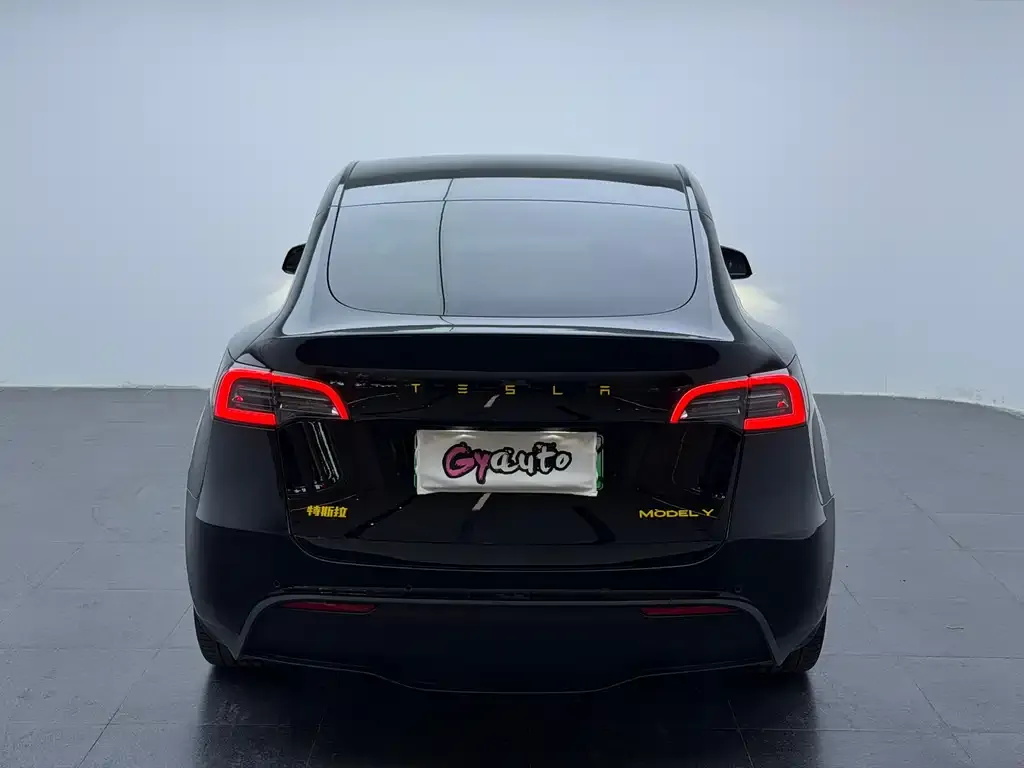 Tesla Model Y 2023 из CN, фото 5
