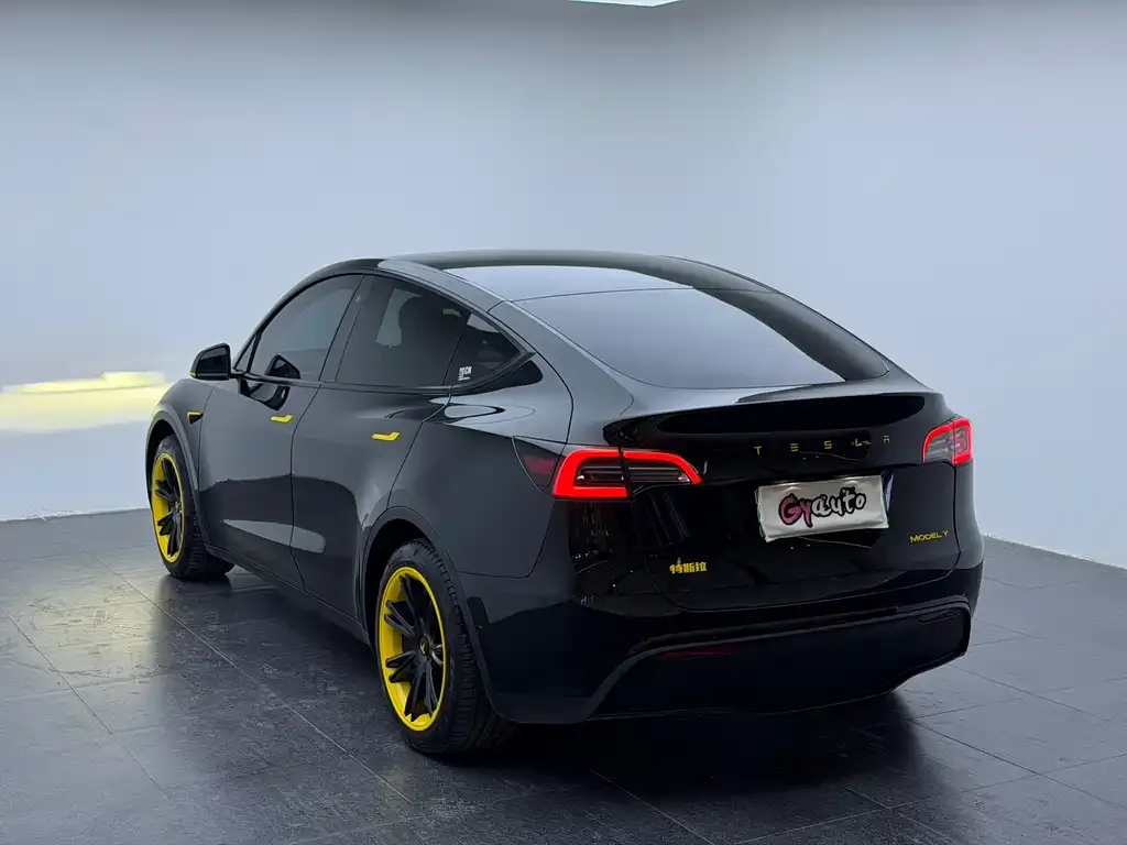 Tesla Model Y 2023 из CN, фото 9