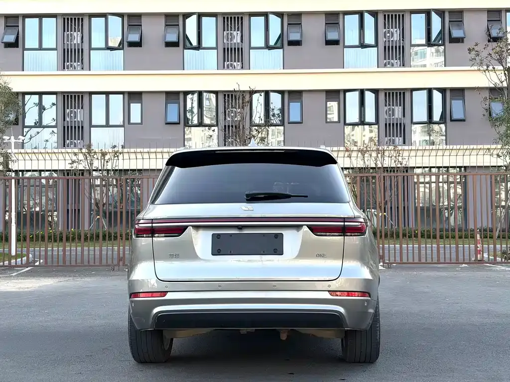 Li Auto ONE 2021 из CN, фото 5
