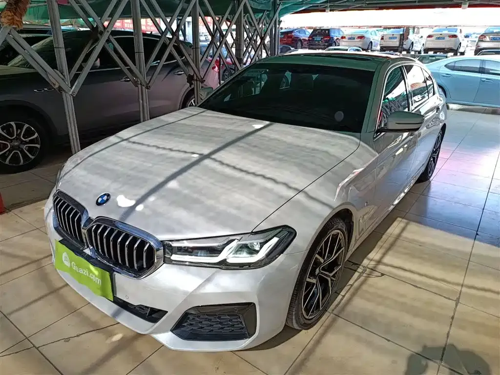 BMW 5 Series 2022 из CN, фото 5