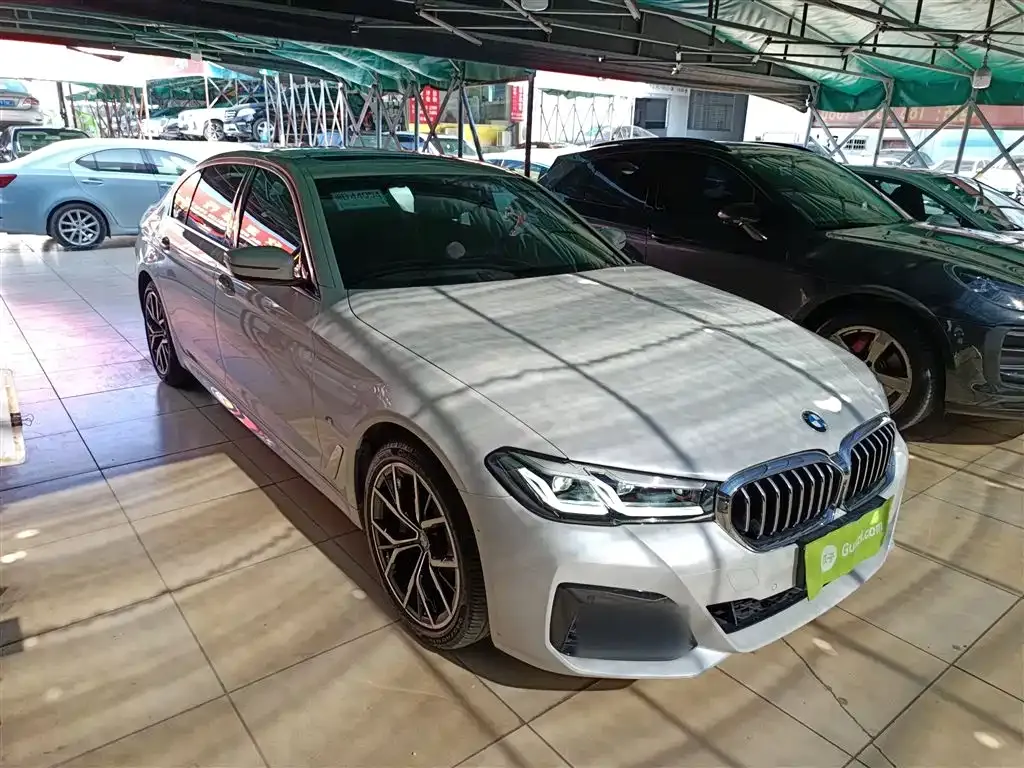 BMW 5 Series 2022 из CN, фото 10