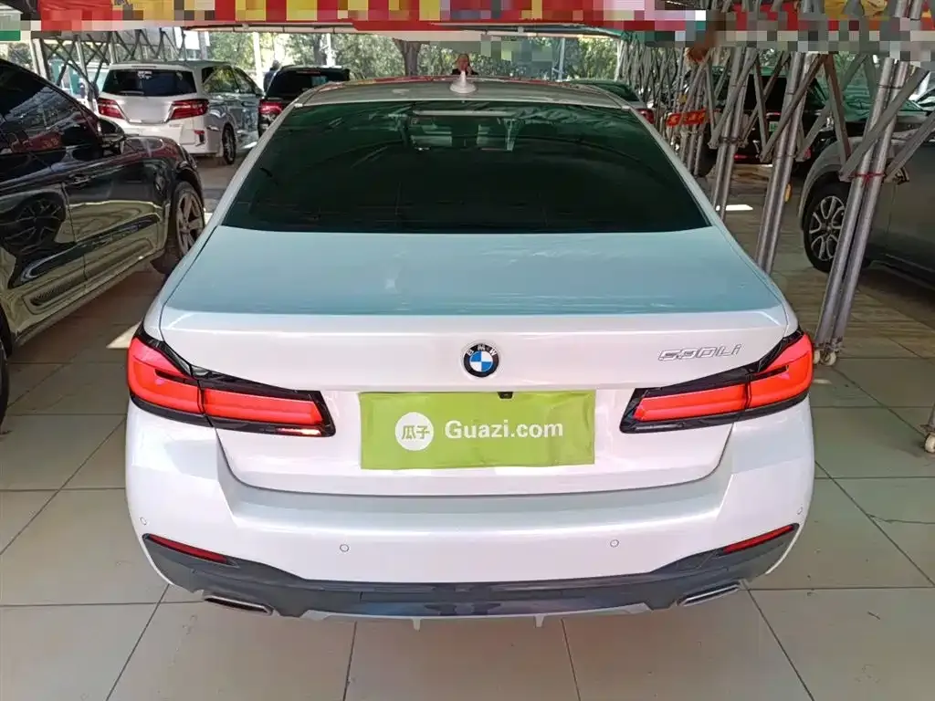 BMW 5 Series 2022 из CN, фото 6