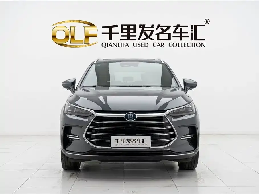 BYD Tang New Energy 2022 из CN, фото 1
