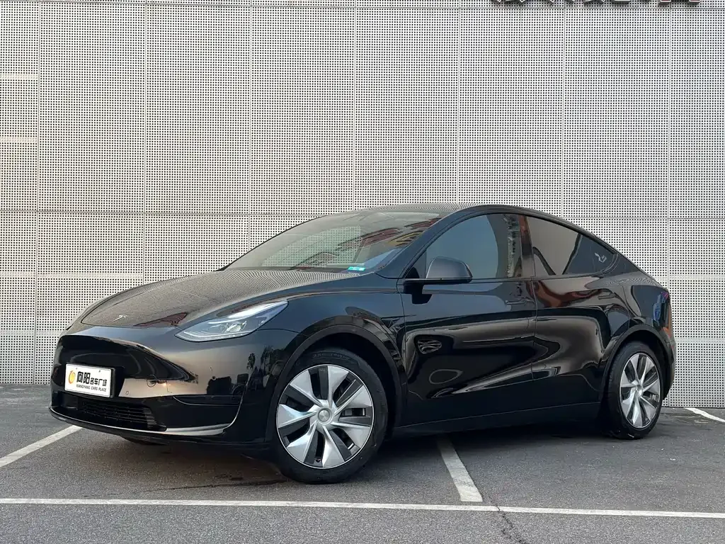 Tesla Model Y 2023 из CN, фото 1