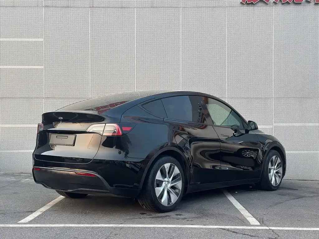 Tesla Model Y 2023 из CN, фото 9