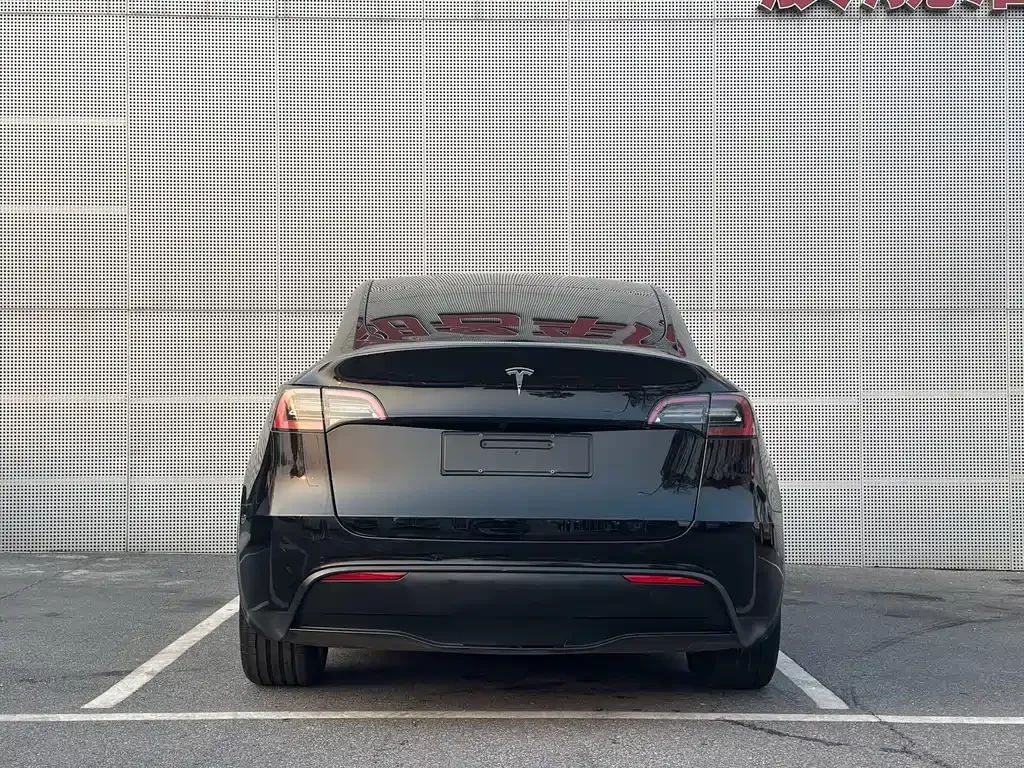 Tesla Model Y 2023 из CN, фото 4