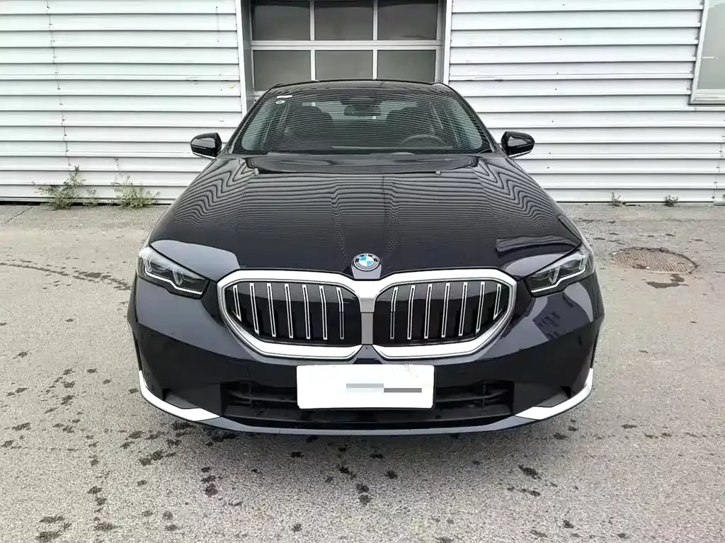 BMW 5 Series 2024 из CN, фото 6