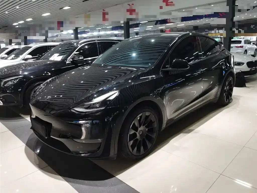 Tesla Model Y 2021 из CN, фото 1