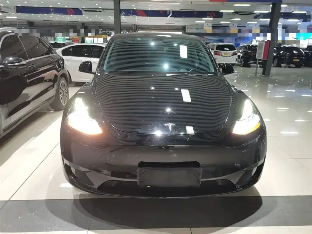 Tesla Model Y 2021 из CN, фото 3