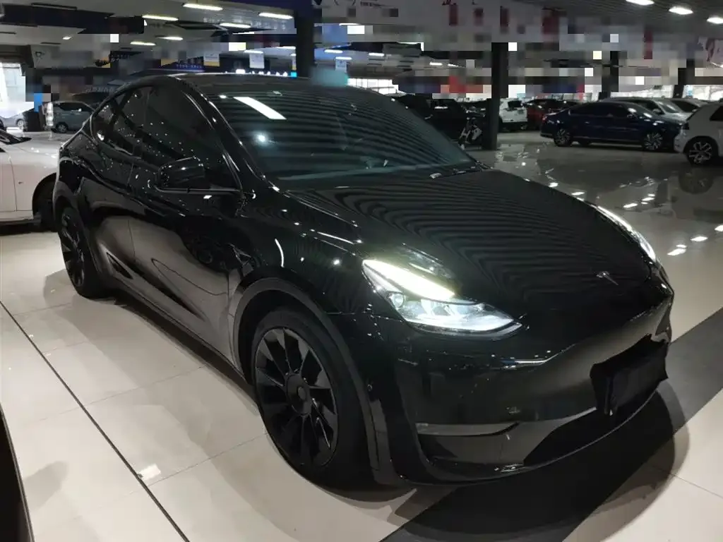 Tesla Model Y 2021 из CN, фото 4