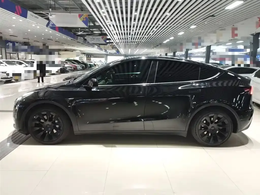 Tesla Model Y 2021 из CN, фото 5