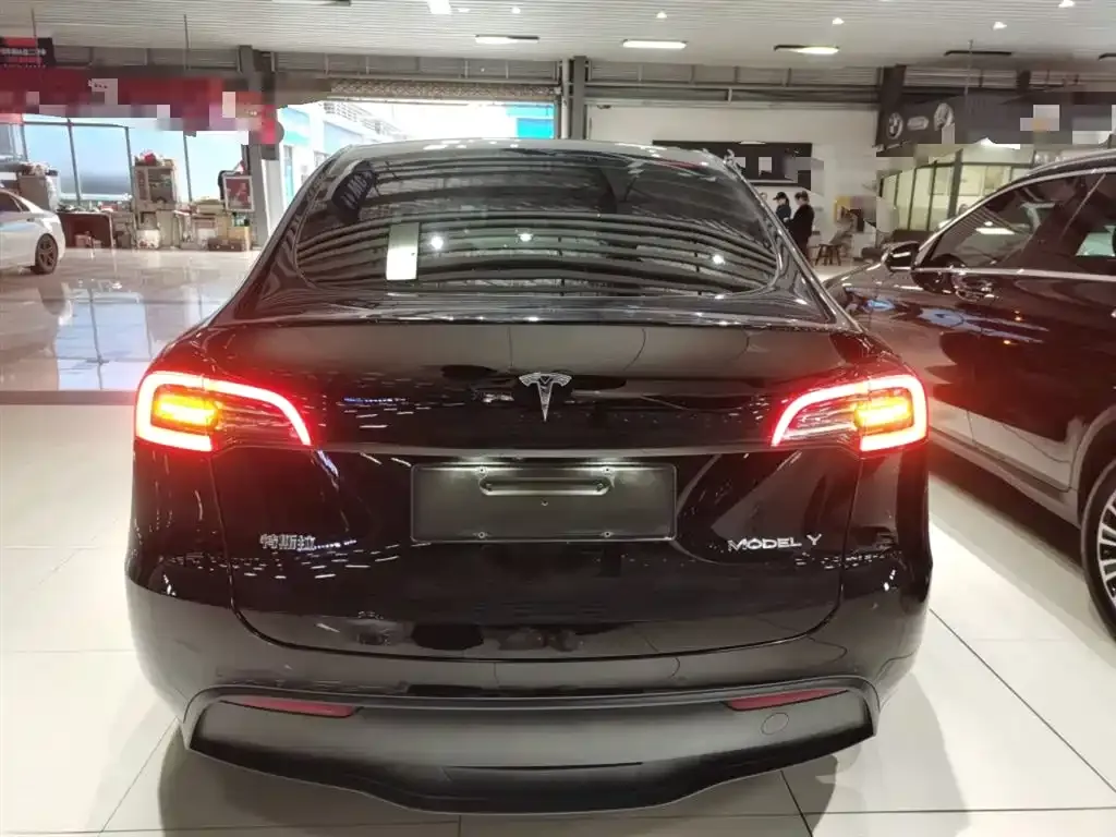 Tesla Model Y 2021 из CN, фото 6