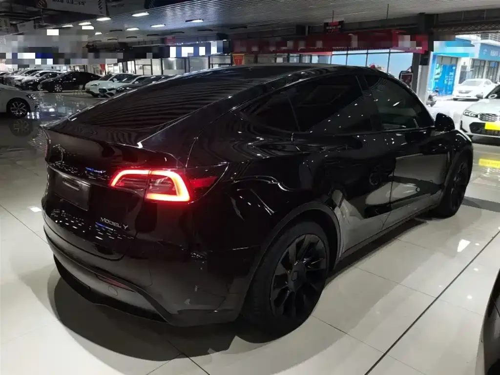 Tesla Model Y 2021 из CN, фото 7