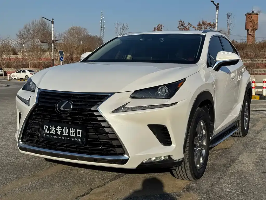 Lexus NX 2021 из CN, фото 1