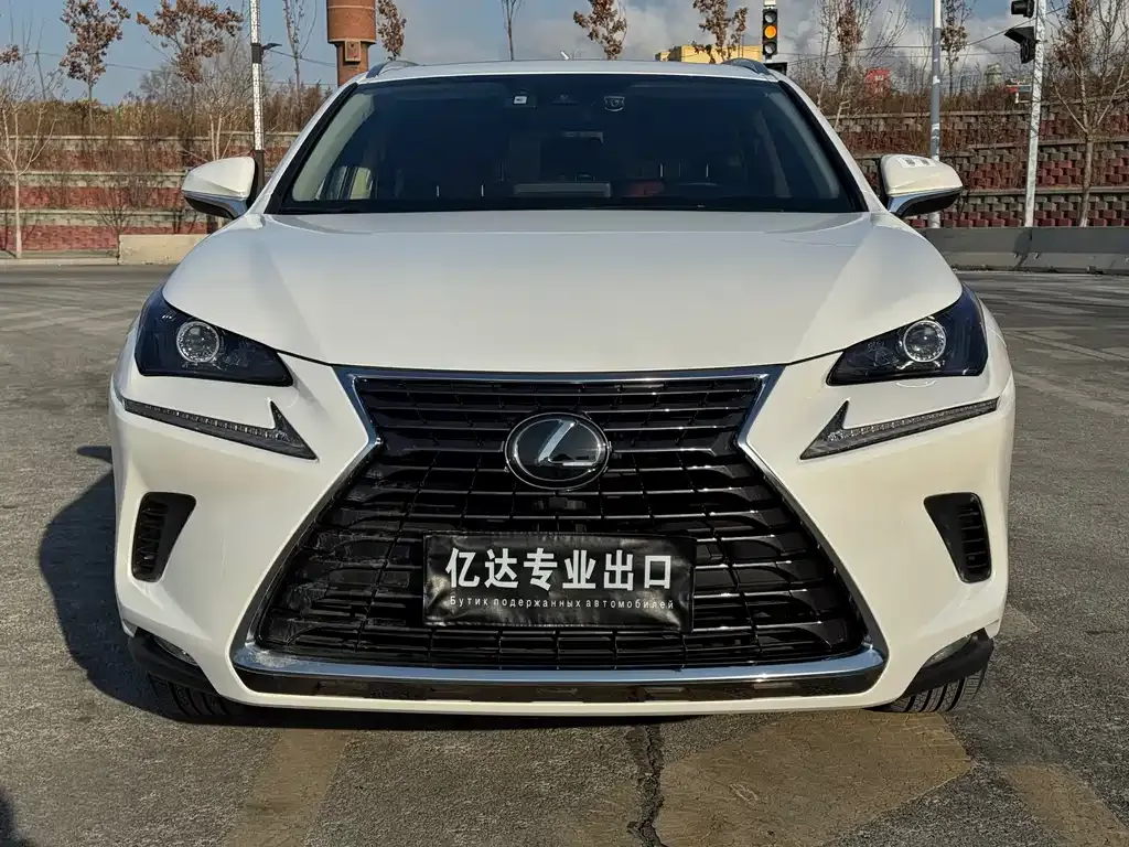 Lexus NX 2021 из CN, фото 10