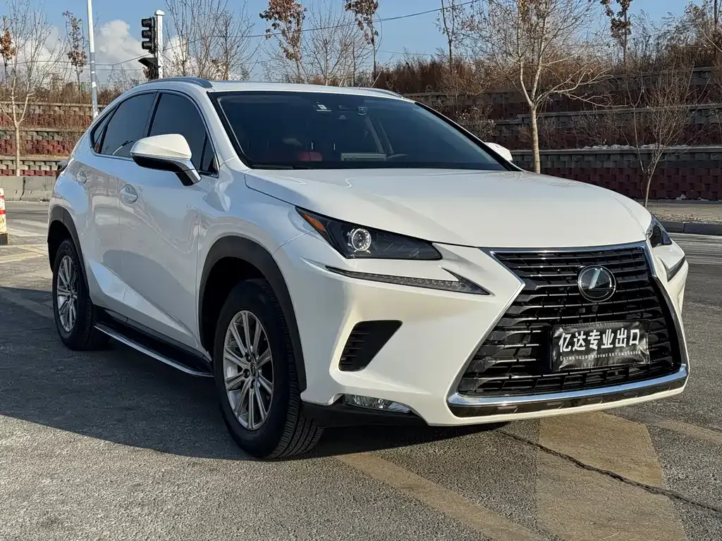 Lexus NX 2021 из CN, фото 5