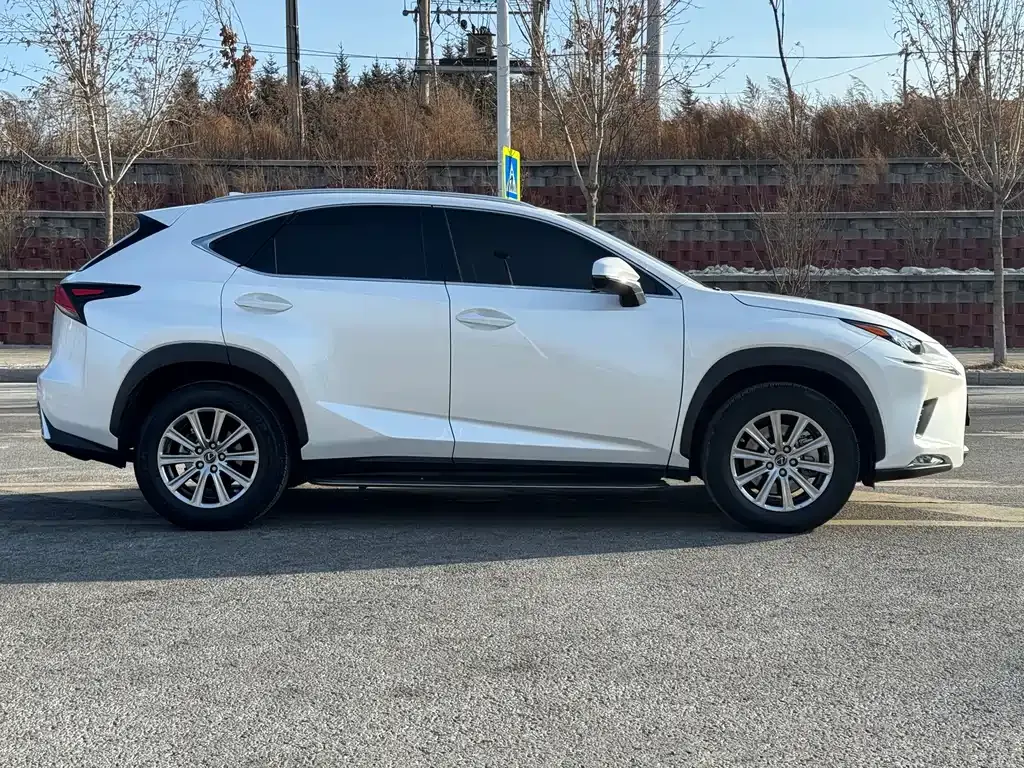 Lexus NX 2021 из CN, фото 8