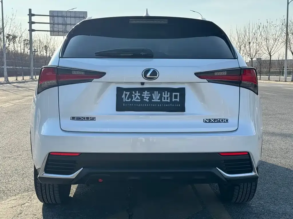 Lexus NX 2021 из CN, фото 6