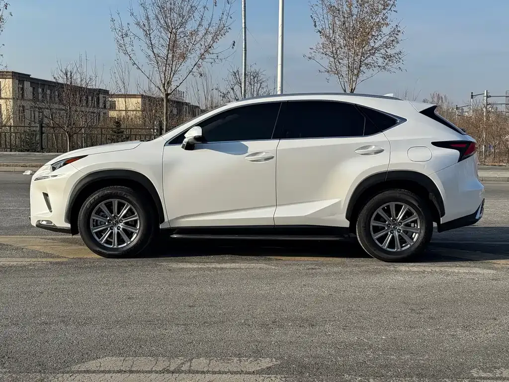 Lexus NX 2021 из CN, фото 4