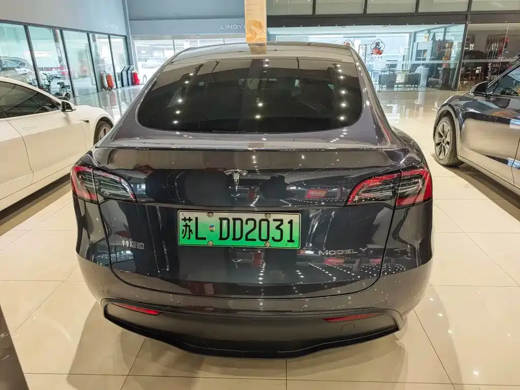 Tesla Model Y 2024 из CN, фото 4