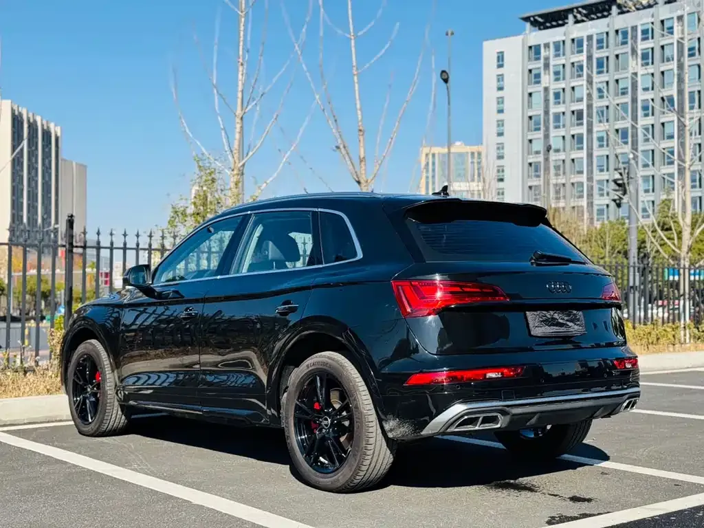 Audi Q5L 2025 из CN, фото 9