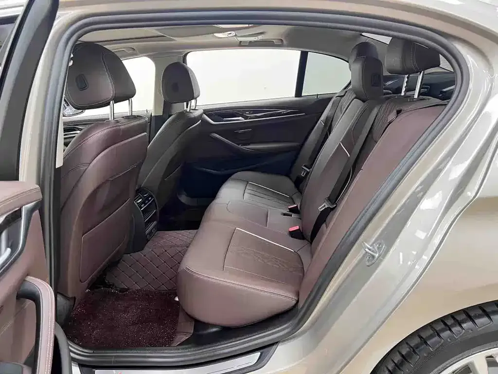 BMW 5 Series 2021 из CN, фото 7
