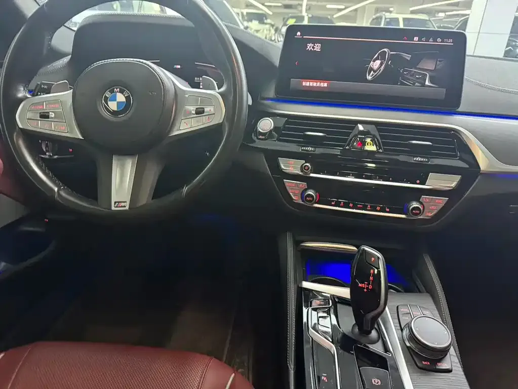 BMW 5 Series 2024 из CN, фото 5