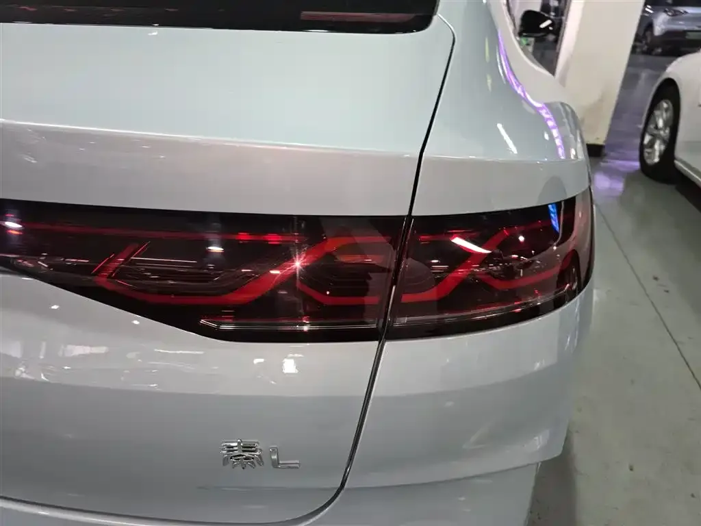 BYD Qin L 2024 из CN, фото 9