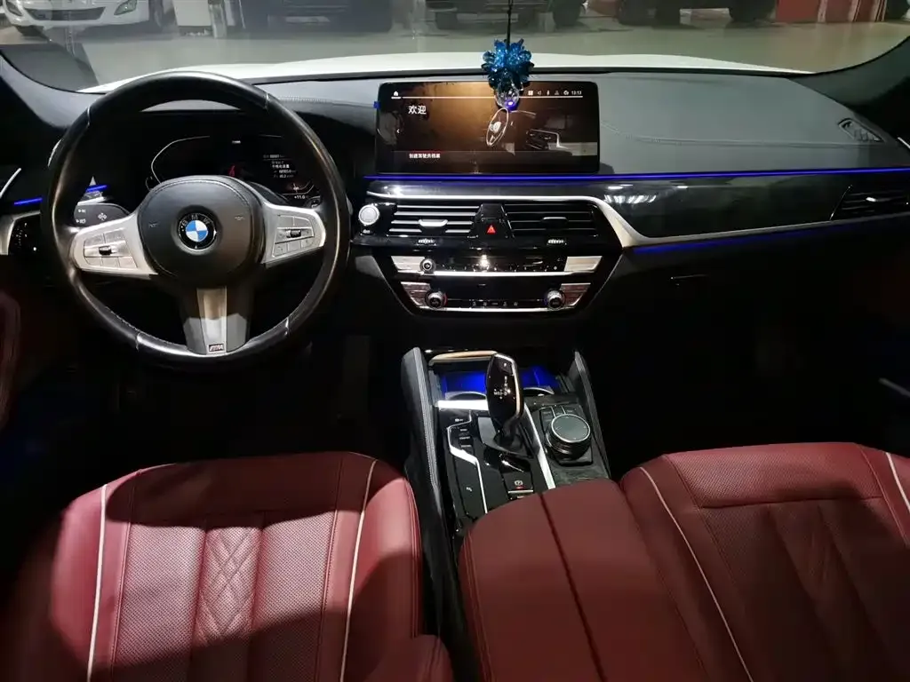 BMW 5 Series 2023 из CN, фото 3