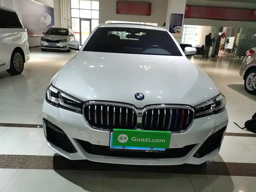 BMW 5 Series 2023 из CN, фото 5