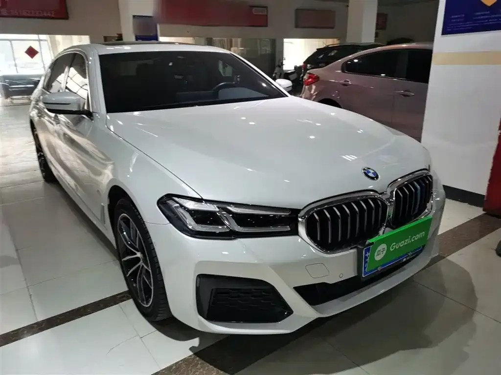 BMW 5 Series 2023 из CN, фото 6