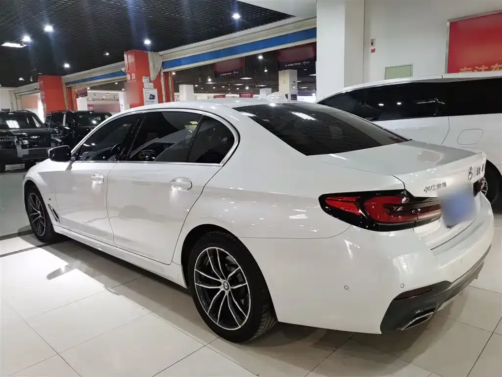 BMW 5 Series 2023 из CN, фото 9