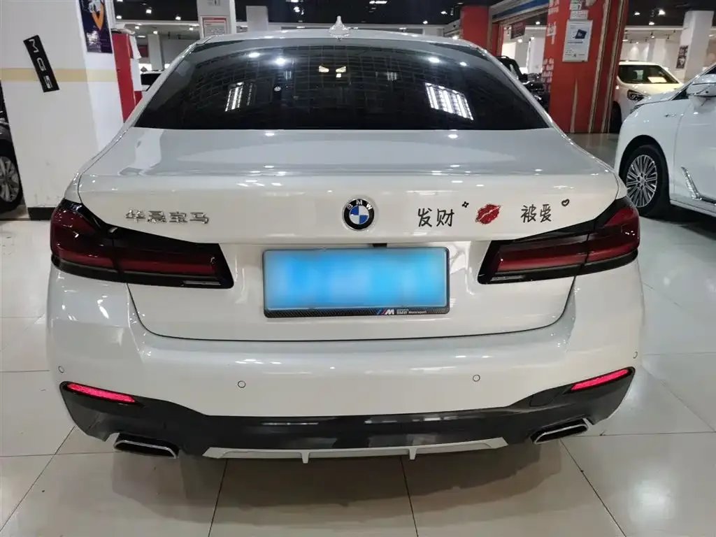 BMW 5 Series 2023 из CN, фото 2