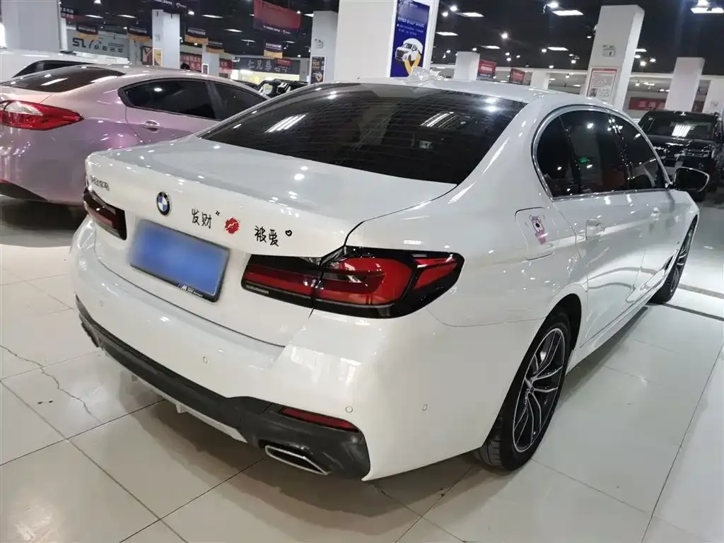 BMW 5 Series 2023 из CN, фото 8