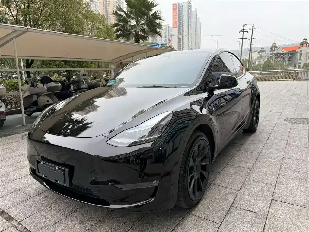 Tesla Model Y 2021 из CN, фото 1