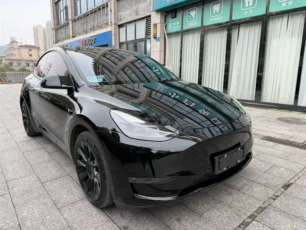 Tesla Model Y 2021 из CN, фото 8