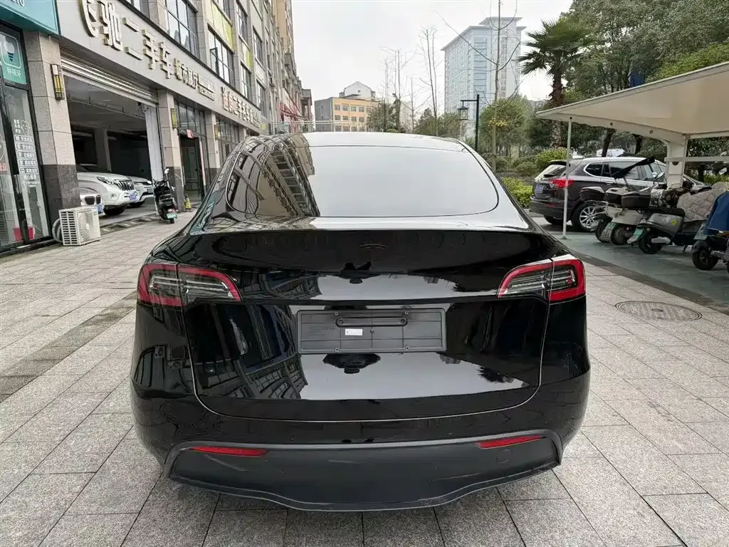 Tesla Model Y 2021 из CN, фото 6