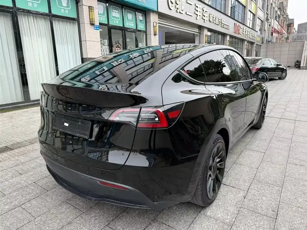 Tesla Model Y 2021 из CN, фото 5