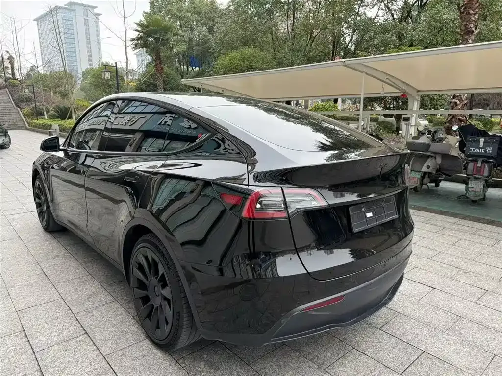 Tesla Model Y 2021 из CN, фото 9