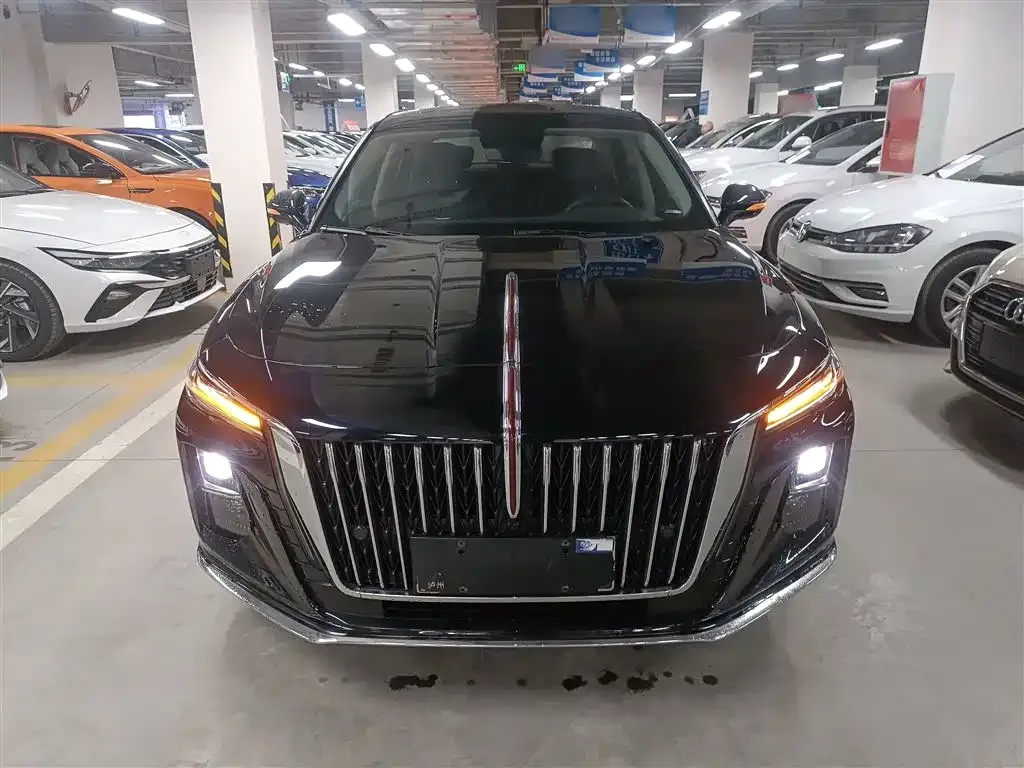 Hongqi H5 2024 из CN, фото 3