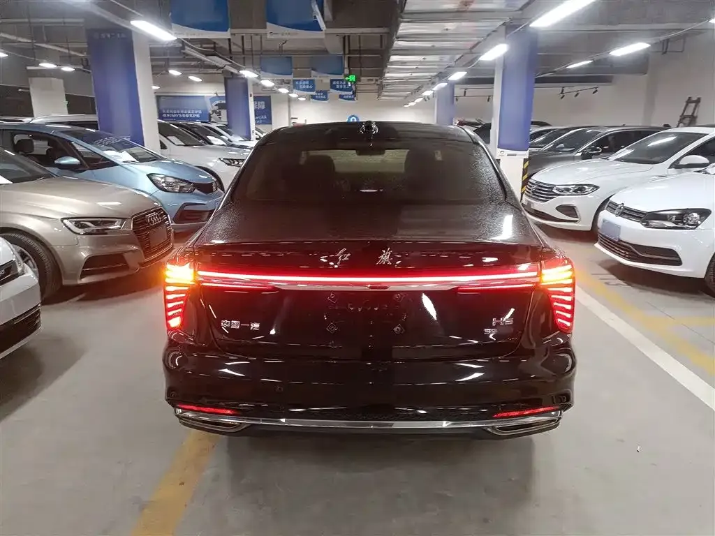 Hongqi H5 2024 из CN, фото 6