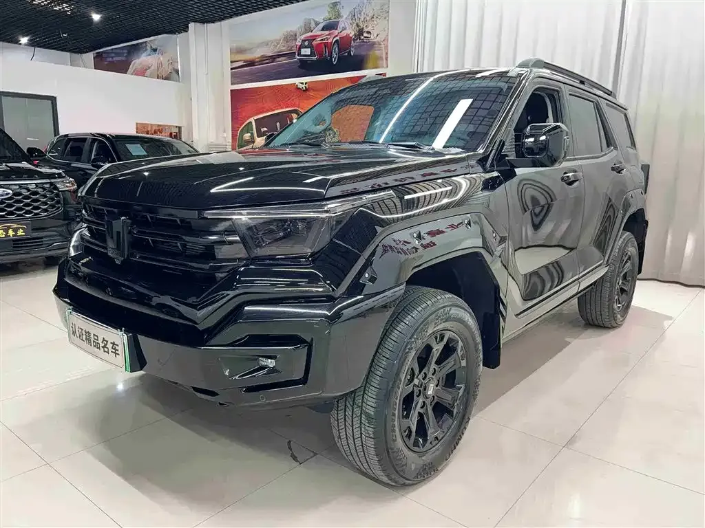 Tank 400 New Energy 2024 из CN, фото 1