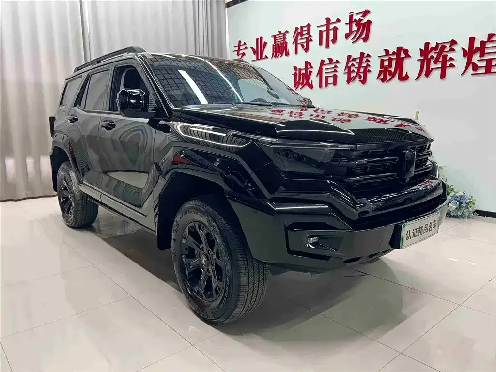 Tank 400 New Energy 2024 из CN, фото 6