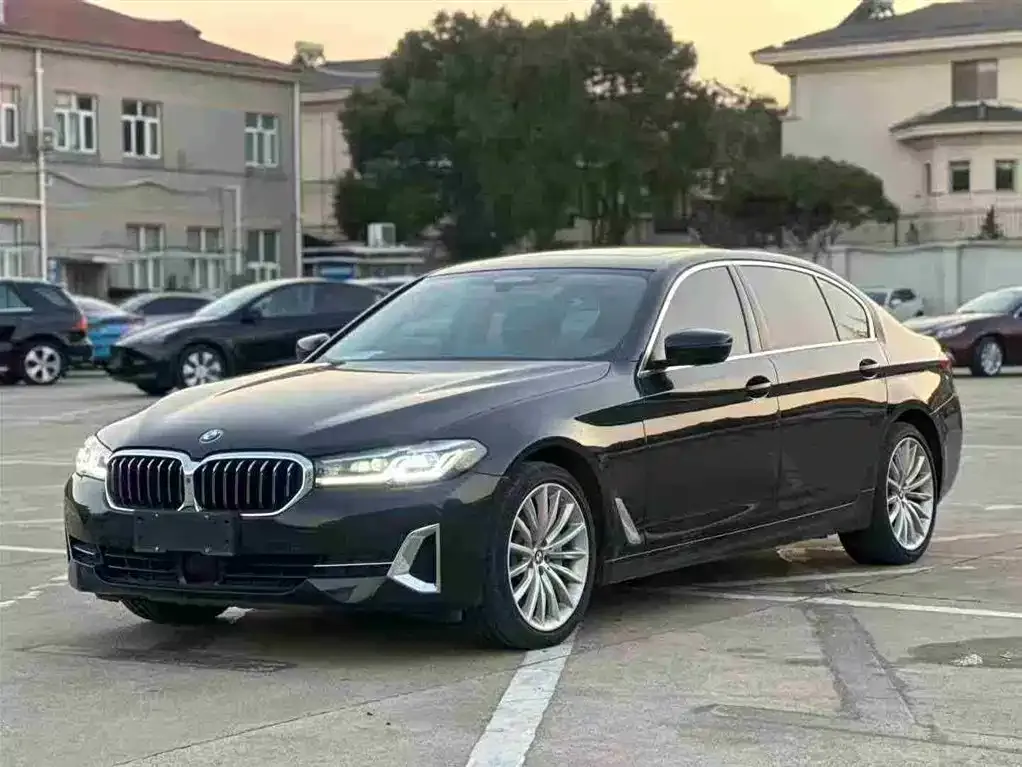 BMW 5 Series 2021 из CN, фото 1