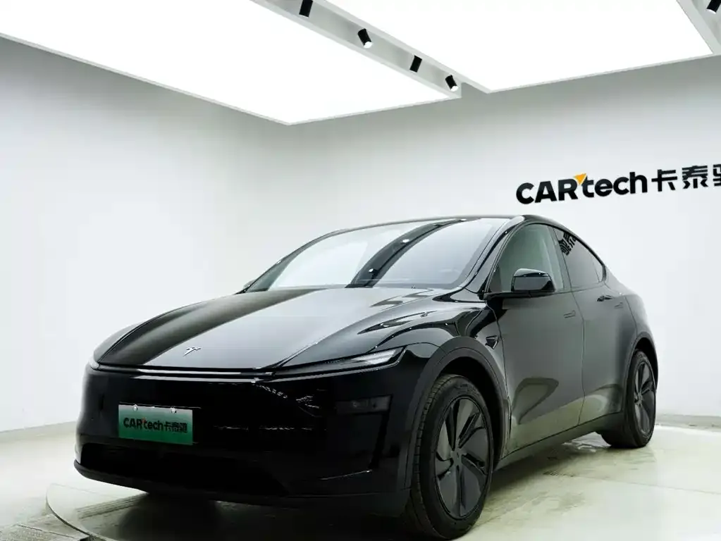 Tesla Model Y 2025 из CN, фото 8