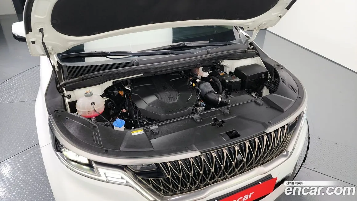 Kia Carnival — фото 10