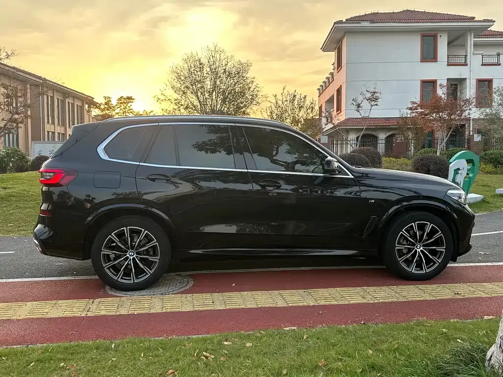 BMW X5 (Import) 2021 из CN, фото 10